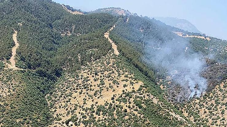 Manisada orman yangını: Havadan ve karadan müdahale ediliyor