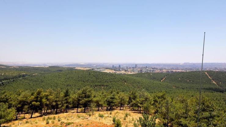 Gaziantepte Ormanlar Termal Dronla Korunuyor