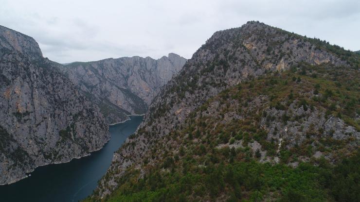 Samsun’da ormana girişler yasaklandı