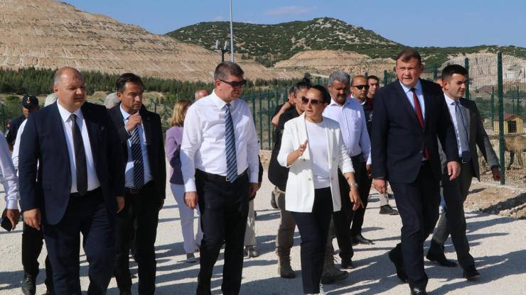 Burdurda sahipsiz hayvanlara yeni yuva