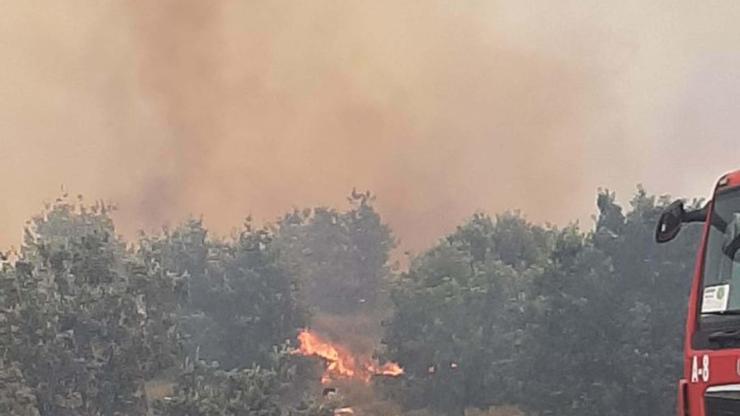 Çanakkalede tarım arazisinde yangın