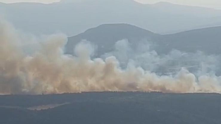 Manisada orman yangını