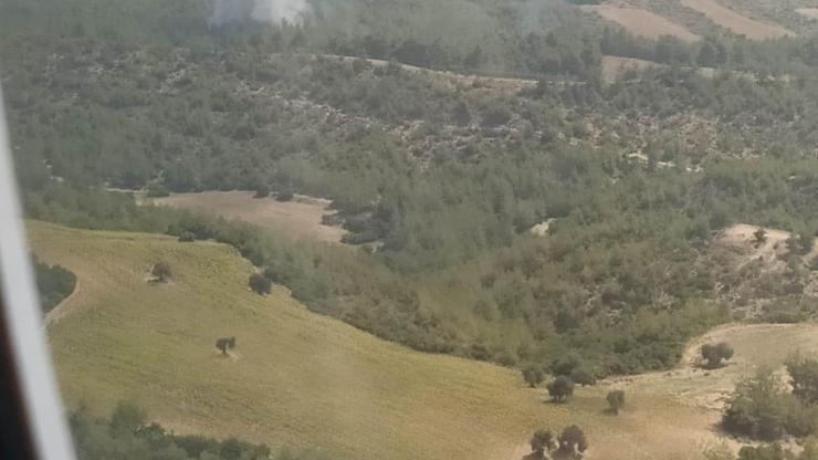 Adanada orman yangını