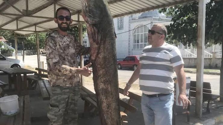 Meriç Nehrinde 80 kilo ağırlığında yayın balığı yakaladı
