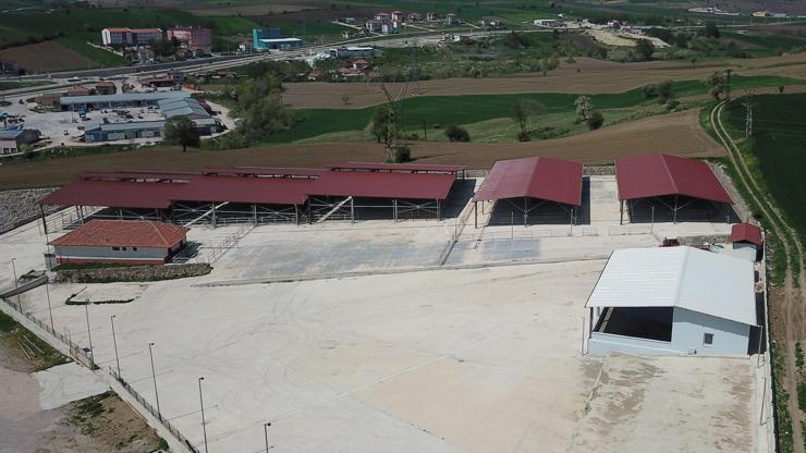 Havzada canlı hayvan pazarı kapatıldı