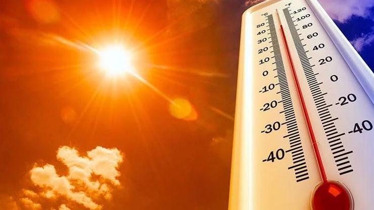 Sıcak hava vurdu: Japonya’da 18 kişi hayatını kaybetti