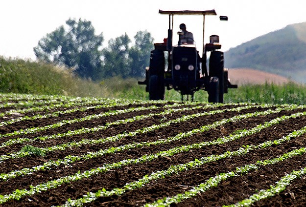 Organik tarımı destekleme tutarları belli oldu