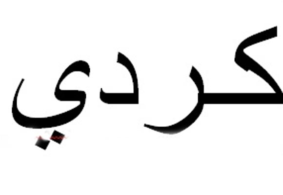Latin alfabesiyle mi, Arap alfabesiyle mi Kürtçe