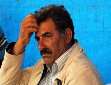 Mehmet Öcalan: Süreç tek taraflı yürümez