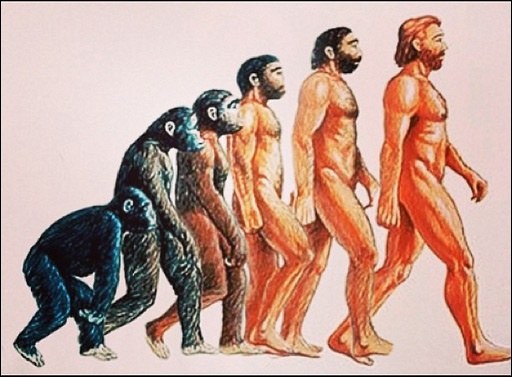 Drogbadan muza evrim teorili cevap