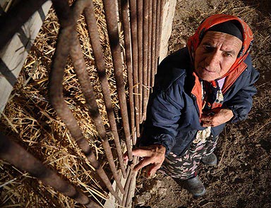 İstanbul Film Festivaline ot karıştı