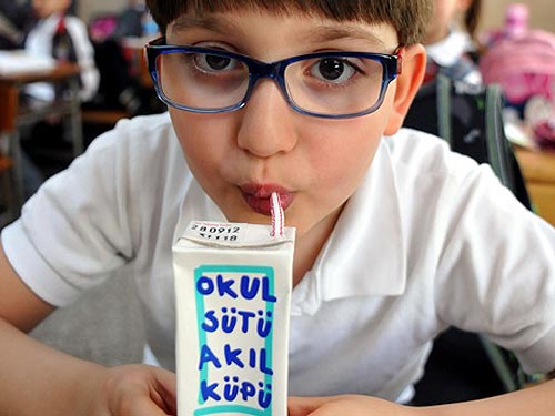 Okul sütü dağıtımı başlıyor