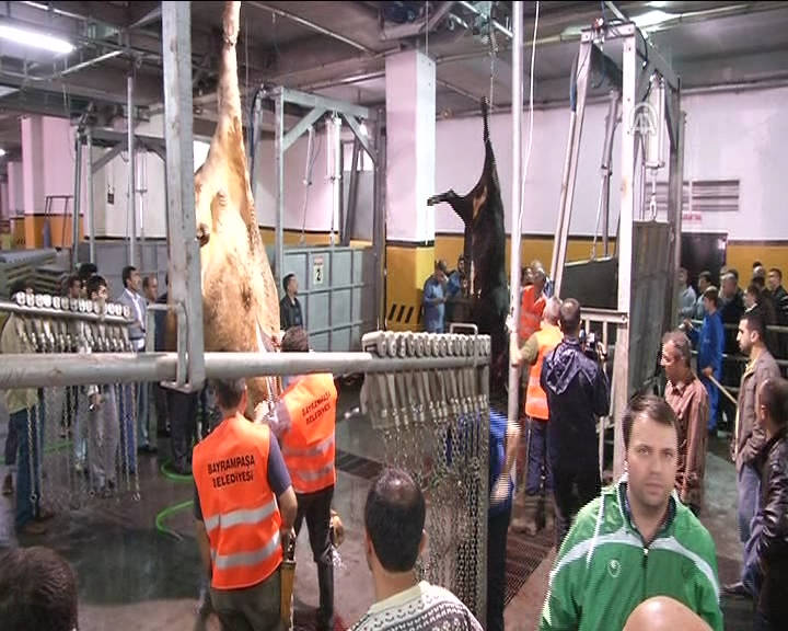 Kurbanlıklar el değmeden kesilecek