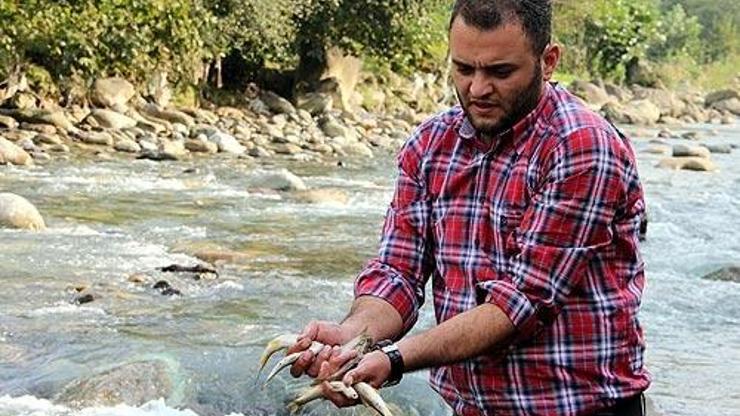 HES'ler derelerden sonra balıkları öldürdü