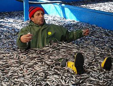 1 Eylülde balık avcılığı yeni kurallarla başlıyor