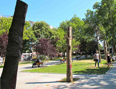 Taksim Gezi Parkında bir garip budama