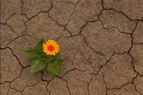 Yıl: 2100... Türkiye susuz kalacak!