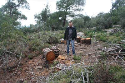 Ağaçlandırma müdürünün köyünde ağaç katliamı