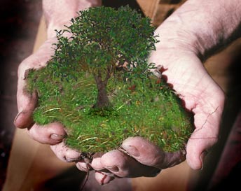 Türkiye'nin Tohum Gen Bankası kuruluyor