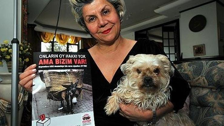 200 aday 'hayvanlara sahip çıkacağız' dedi