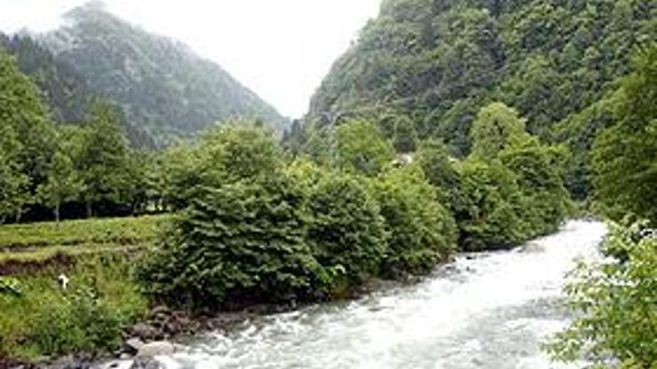 Fırtına Vadisi çöp alanı olmaktan kurtuldu Fırtına Vadisi çöp alanı olmaktan kurtuldu