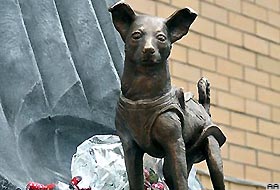 Uzaya giden ilk köpeğin heykeli yapıldı