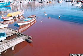 Dünya çöpünü denizlerde depoluyor