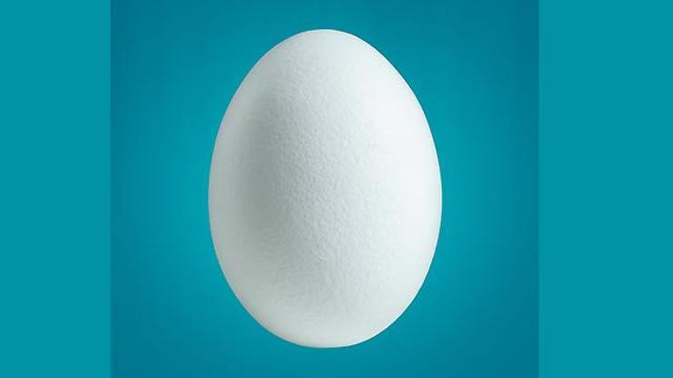 Twitterdaki yumurtalar sahte hesap mı