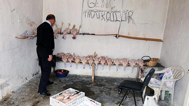 Ankarada kaçak tavuk kesimi yapanlara operasyon