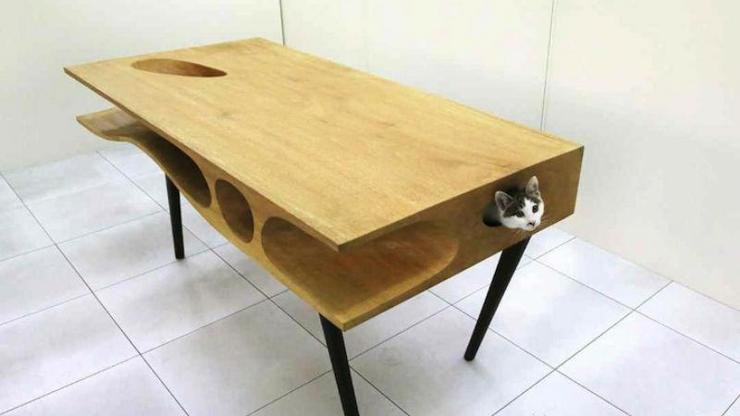 İnsanlar için masa, kediler için cennet