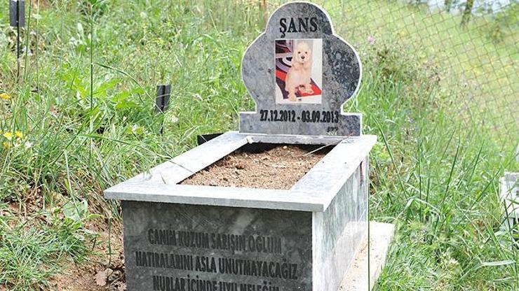Türkiyenin ilk Evcil Hayvan Mezarlığı
