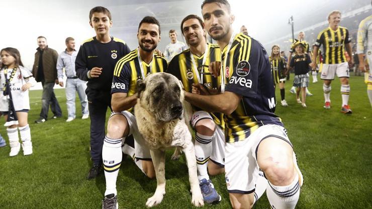 Mehmet Topuzdan kangal sürprizi
