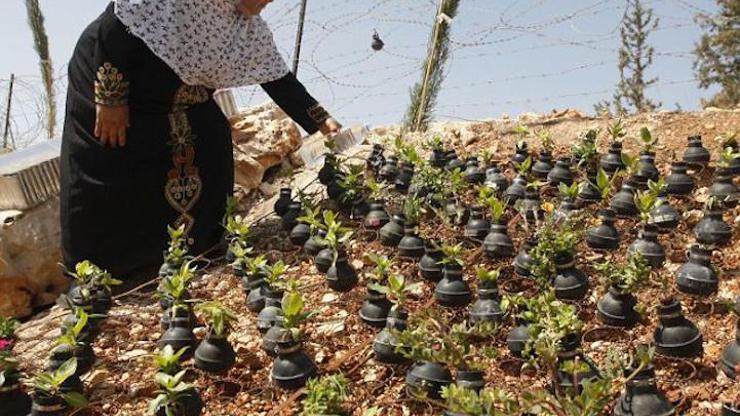 Gaz fişeklerinden fışkıran hayat tohumları...