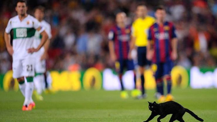 Barcelona maçında sahaya kara kedi girdi
