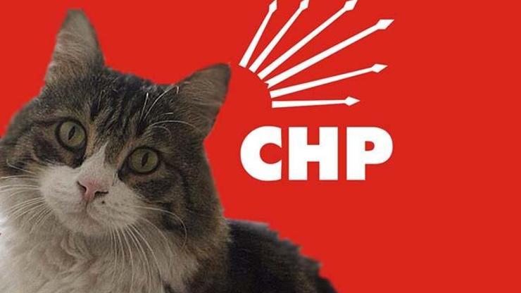 CHPden Şero imzalı Hayvan Hakları Genelgesi