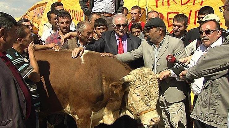 CHPli Öğütten ilginç öneri: Et yiyen zeki olur, CHPye oy verir