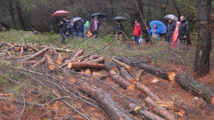 Danıştaydan, RES projesine çifte durdurma