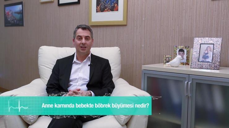 Anne karnında bebekte böbrek büyümesi nedir