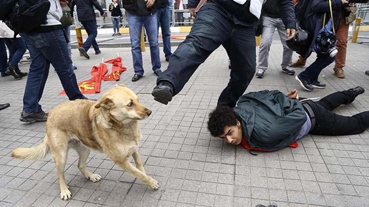 1 Mayısta günün fotoğrafı