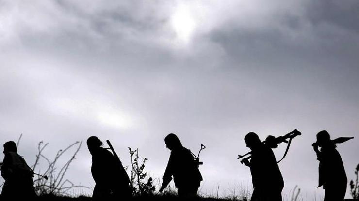 PKK, Tuncelide ağaç kesen işçileri kaçırıp bir gün rehin tuttu