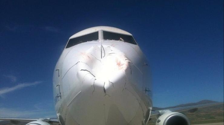 THY uçağına kuş sürüsü çarptı, hasar meydana geldi