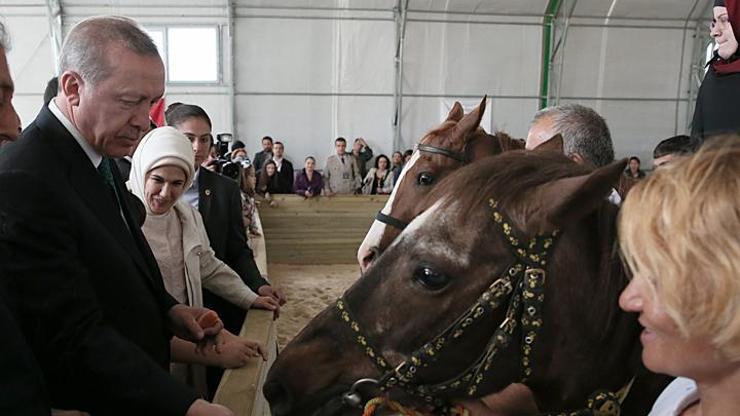 Cumhurbaşkanı Erdoğan: Katar Emiri 53 tane Arap atı gönderdi