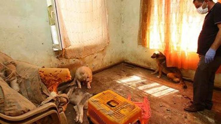 İzmirdeki dehşet evinden hayvan leşleri çıkarıldı