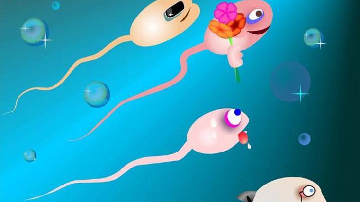 Sperm sayısını arttıran yiyecekler