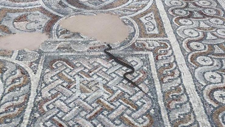 İncilde geçen tarihi kilisenin ilginç kara yılanı