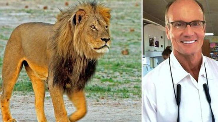 Aslan Cecili öldüren Amerikalı dişçiye tepki yağıyor