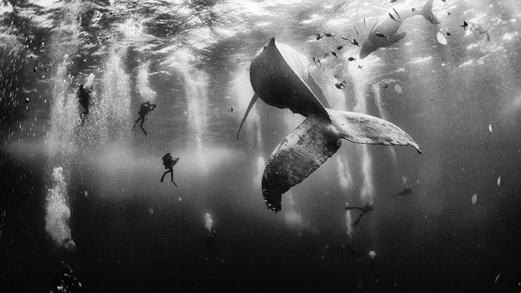 2015 National Geographic Gezgin Fotoğrafları Yarışmasını kazanan 10 fotoğraf