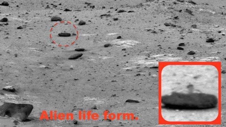 Marsta çekilen fotoğrafta dikkat çeken ayrıntı