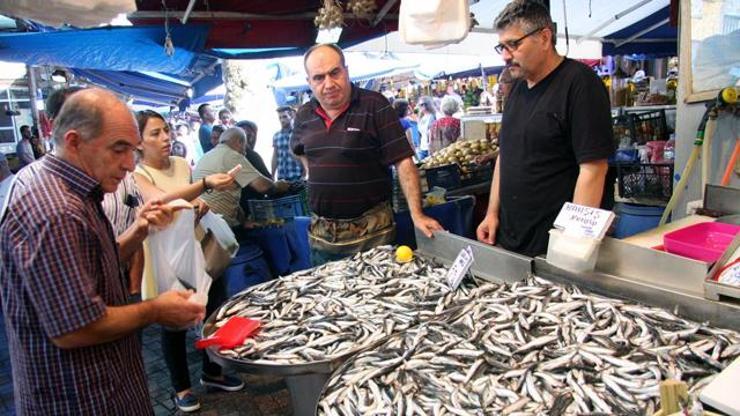 Balık fiyatları cep yakıyor