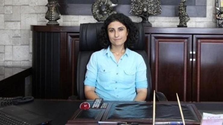 Özalp Belediye Başkanı Bağcı görevden uzaklaştırıldı